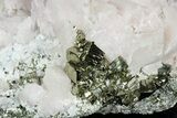 Manganoan Calcite with Cubic Pyrite - Highly Fluorescent! #184545-3